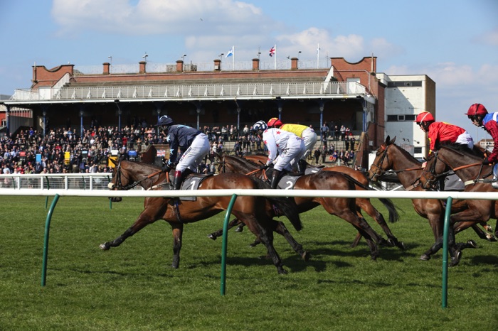 Ayr Racecourse