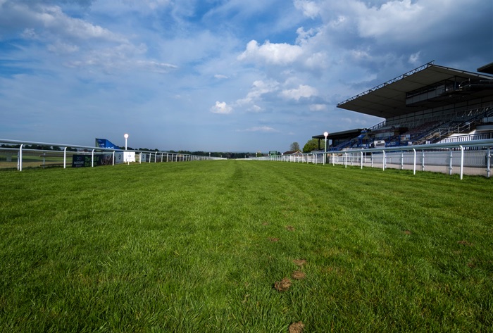 Beverley Racecourse track and grandstand