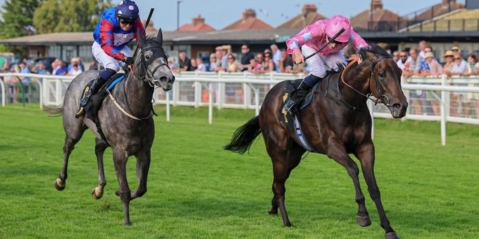 Carlisle Racecourse