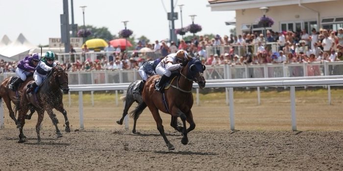 Chelmsford City Racecourse
