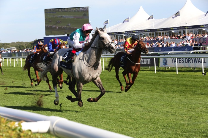 A race in action at Doncaster Racecourse