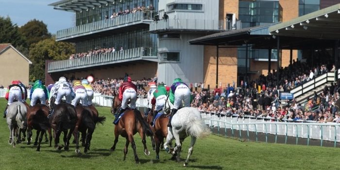 Fontwell Park Recourse