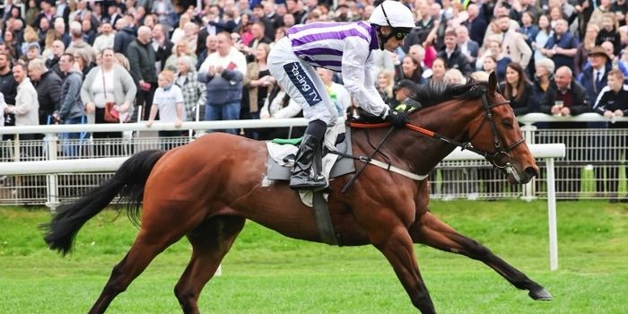 Hamilton Park Racecourse