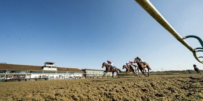 Lingfield Park Racecourse