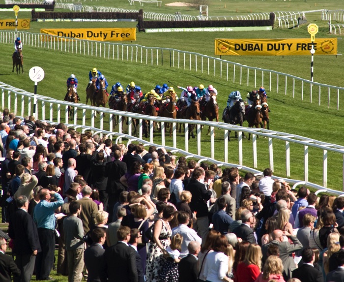 Newbury horse race