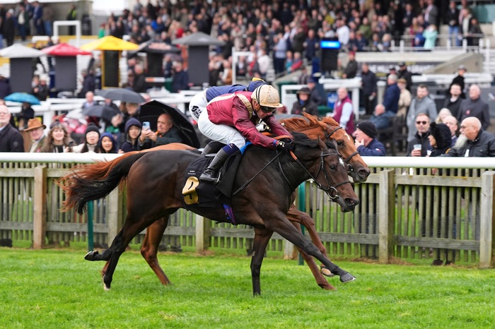 Newmarket close race