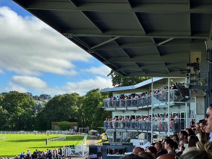 Newton Abbot views from the grandstand