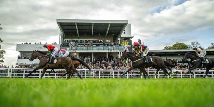 Plumpton Racecourse