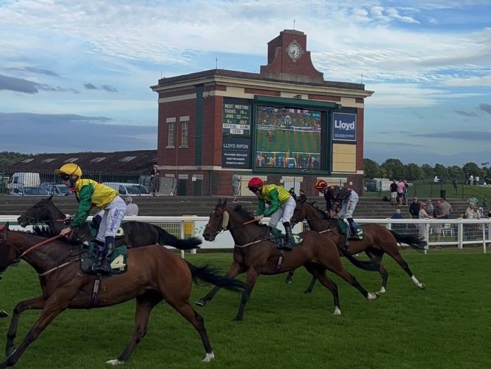 Ripon races