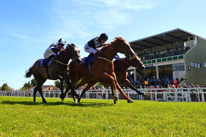 Salisbury Racecourse