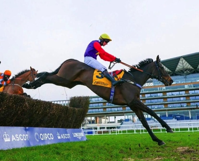 Warwick racing action shot