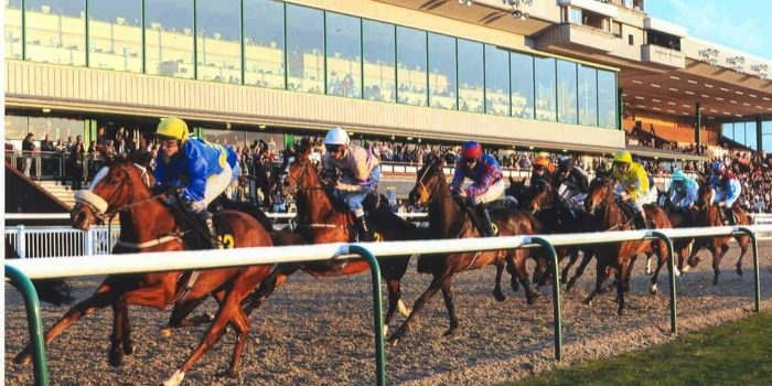 Wolverhampton Racecourse