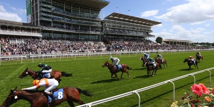York Racecourse