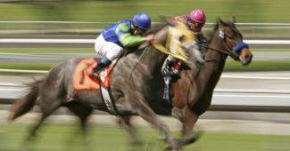 Horses Running at Cheltenham