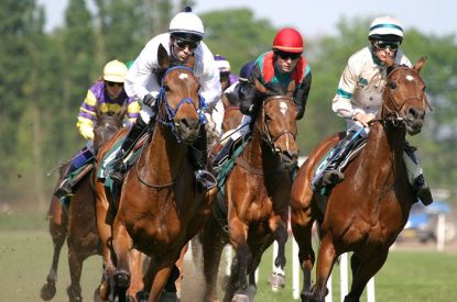 Group of Horses Running in Race