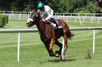 Horse Running in Race