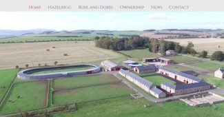 Rose Dobbin Racing Screenshot