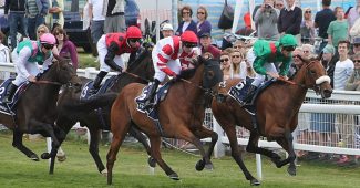 Horses Running in the Epsom Derby