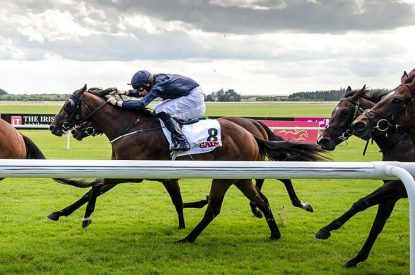 Horse Racing at the Curragh
