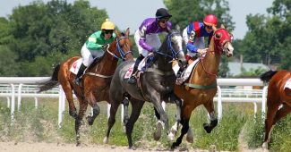 Horse Race Betting