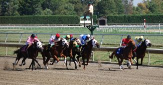 Horse Racing Betting