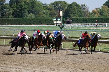 Horse Racing Betting