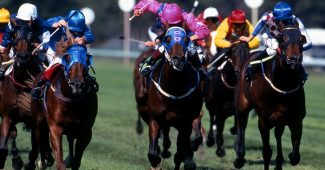 Horse Racing Mid Race