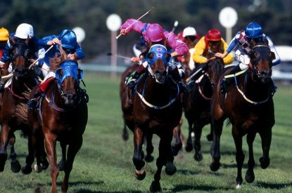 Horse Racing Mid Race