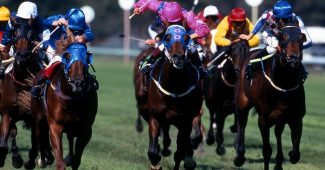 Horses Racing to Finish Line