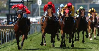 Betting on Horse Racing