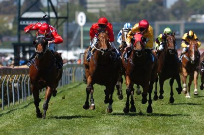 Betting on Horse Racing