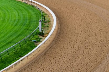 Dirt and Turf Track Bend