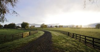 Horse Paddocks and Track