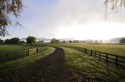 Horse Paddocks and Track
