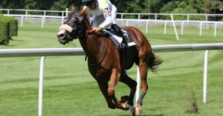 Horse Racing Close to Rail
