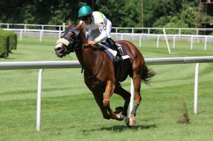 Horse Racing Close to Rail