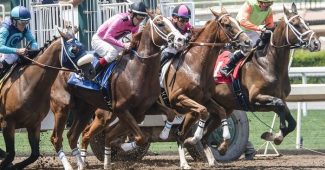 Horses Leaving Start Gate on Dirt