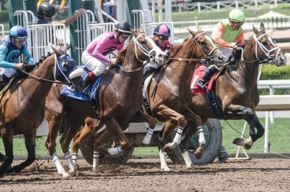 Horses Leaving Start Gate on Dirt