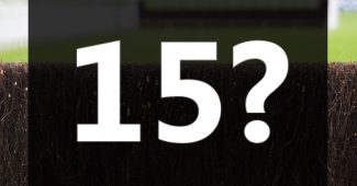 Number 15 Against Horse Racing Fence
