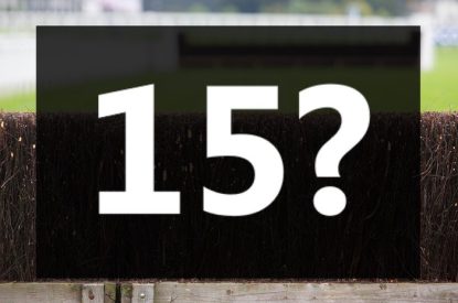 Number 15 Against Horse Racing Fence