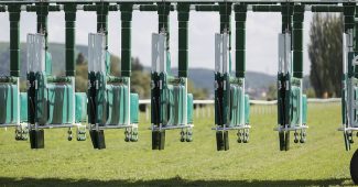 Numbered Open Horse Race Starting Gate
