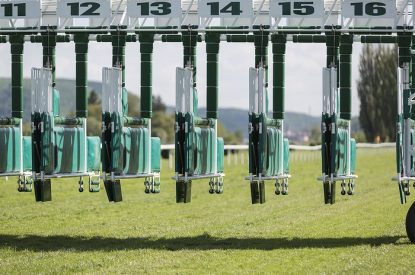 Numbered Open Horse Race Starting Gate