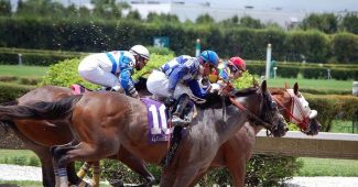 Group of Three Horses During Race