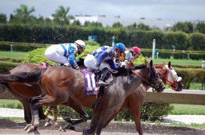 Group of Three Horses During Race