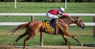 Gun Runner at Gulfstream Park