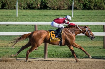 Gun Runner at Gulfstream Park