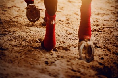 Hooves of Horse with Red Bandages
