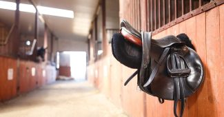 Saddle Left in Stable
