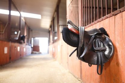 Saddle Left in Stable