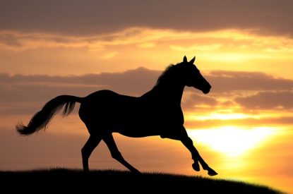 Silhouette of Galloping Horse Against Sunset